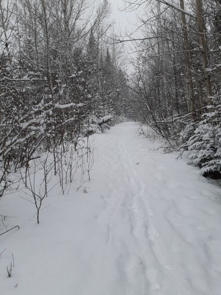 Snowy Road